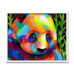 Colourful Panda