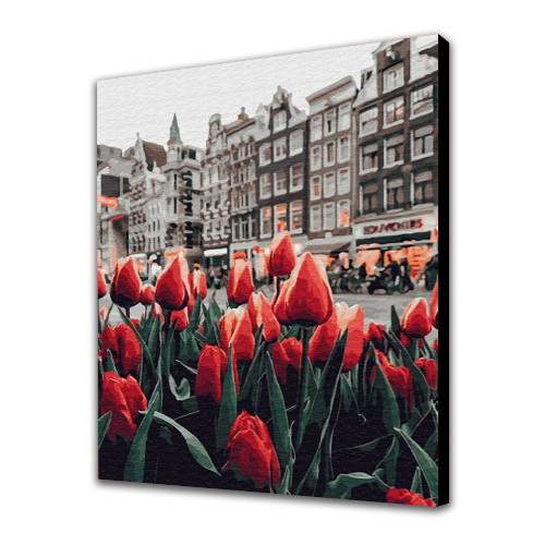 Tulips Amsterdam