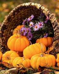 Autumn Still Life