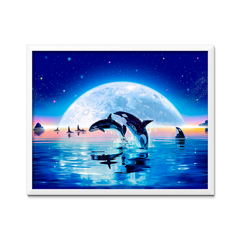 Night Sky and Killer Whales