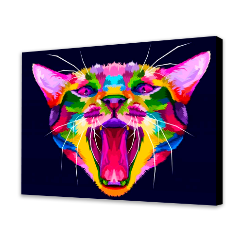 Colorful Kitty