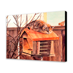 Cat on a Birdhouse