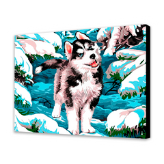 Snow Husky