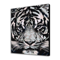White Tiger