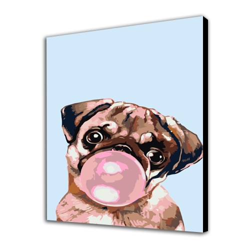 Pug And Chewing Gum