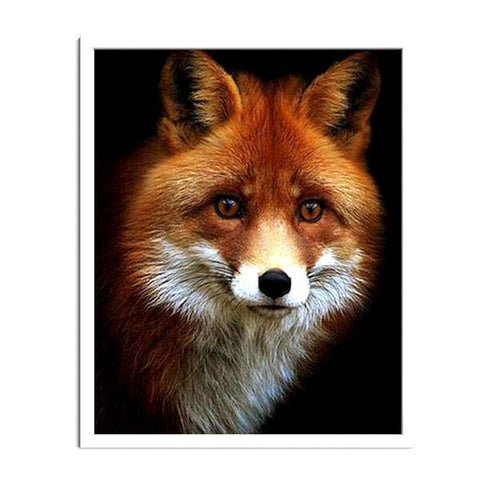 Adorable Fox